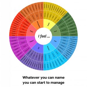 FEELINGS WHEEL | 128 Emotions for Emotional Intelligence | Digital Download