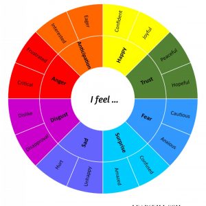 EMOTIONS STUDENT | Basic Emotion Wheels for Emotional Literacy (8 and 24) | Digital Download