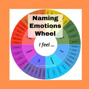 Naming Your Emotions Webinar