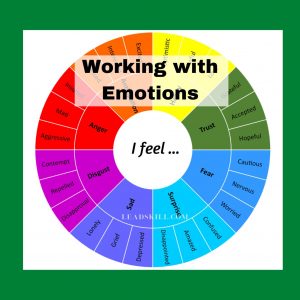 WORKING with EMOTIONS Wheel | 32 emotions for working with Emotional Intelligence | Digital
