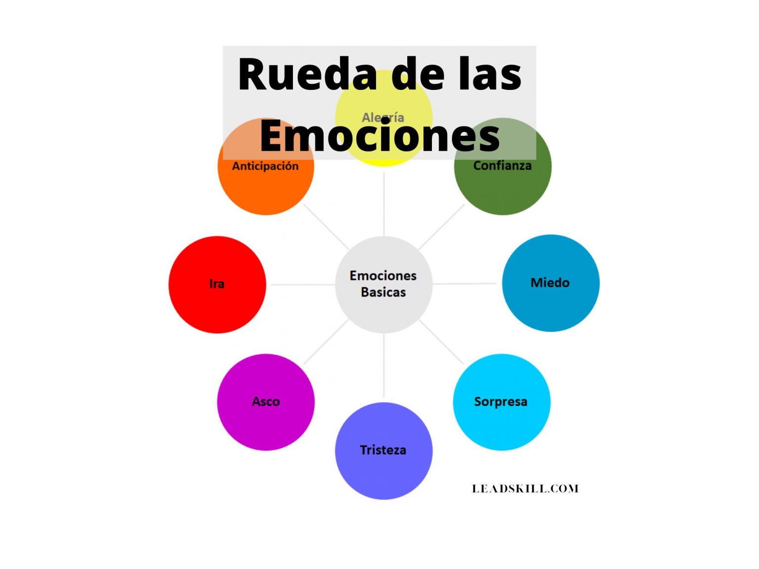 8 Emociones Basicas en español 8 Basic Emotions in Spanish Digital
