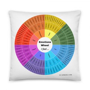 Emotion Wheel Pillow for naming emotions – 22×22
