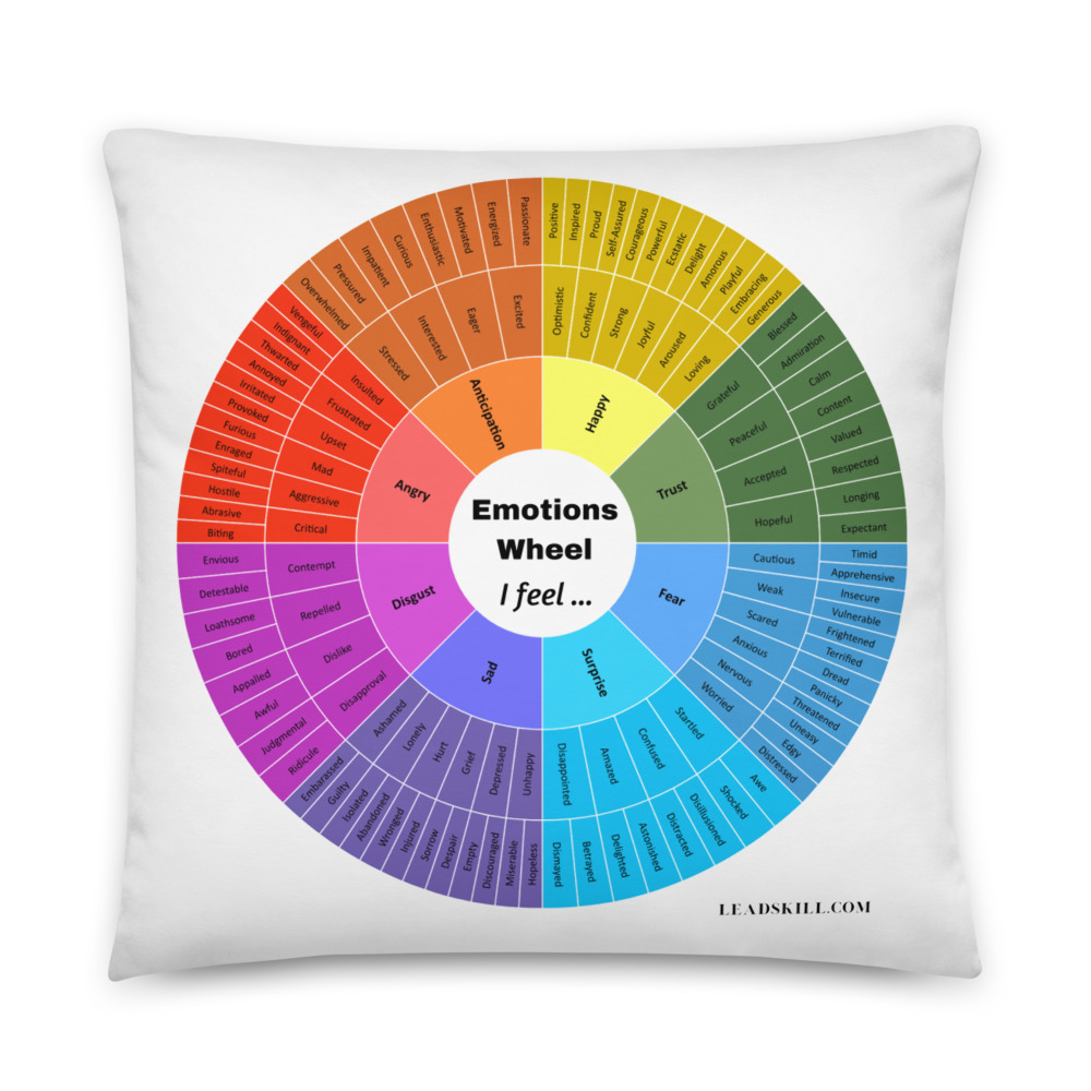 Emotion Wheel Pillow for naming emotions - Leadskill