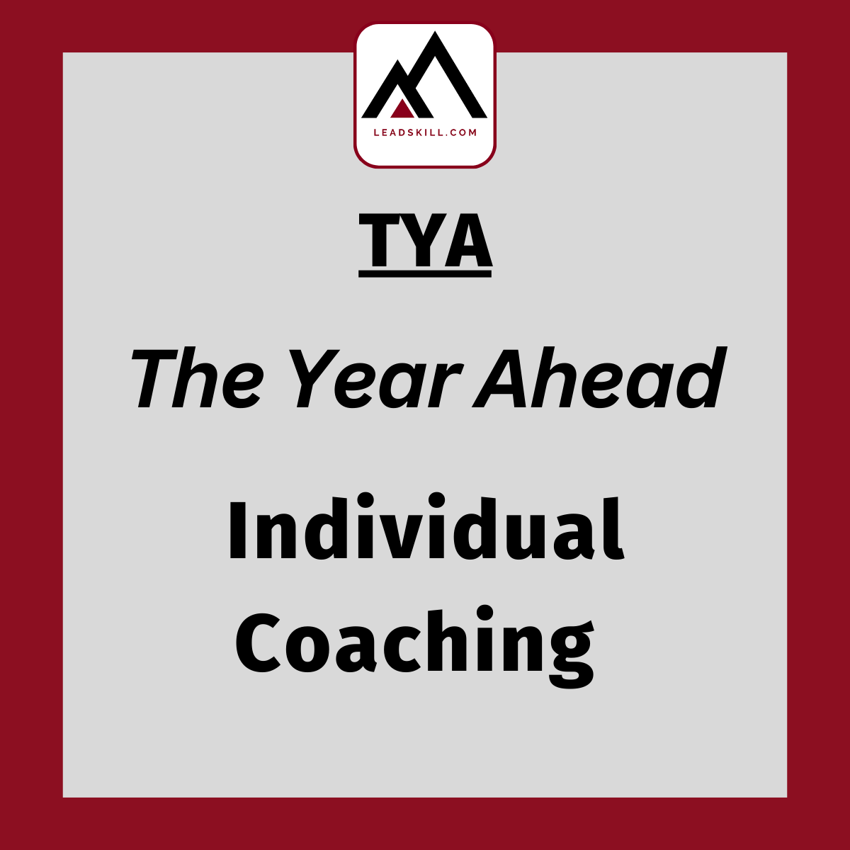 The Year Ahead Individual Coaching with Leadskill logo and a red border