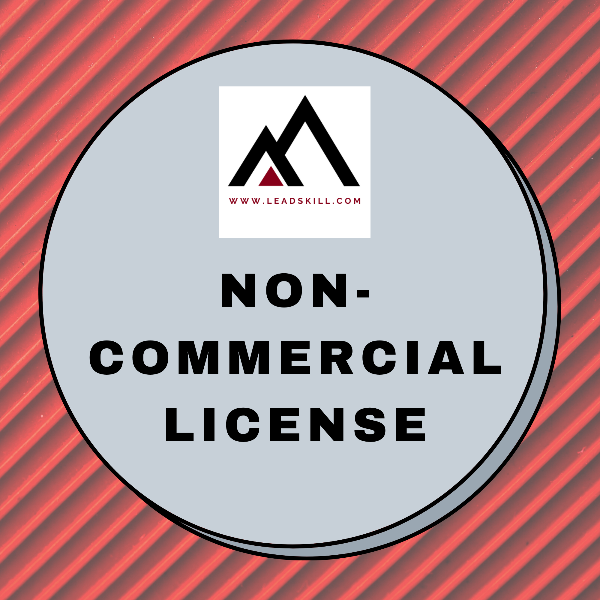 Leadskill Non-Commercial License for Digital Products